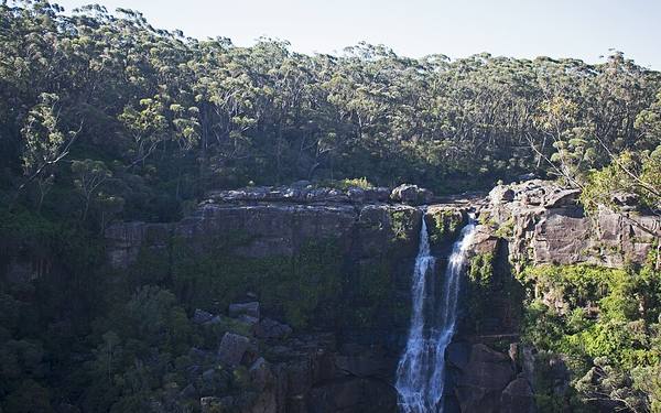 Carrington Falls seen from the Falls View lookout in Budderoo National Park