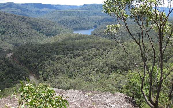 Lake Yarrunga winding through forested hills, seen from the Three Views Trail