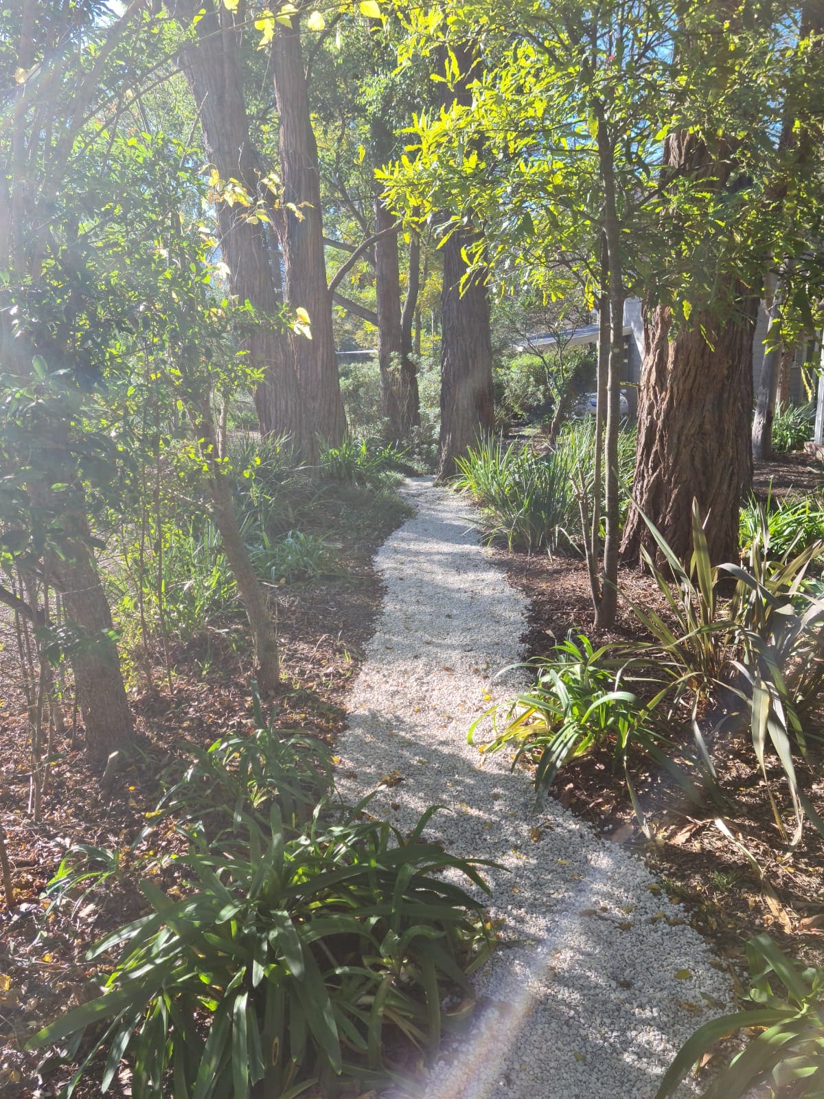 Pathways through the gardens