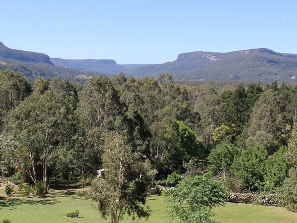 View over the treetops to the Kangaroo Valley escarpment